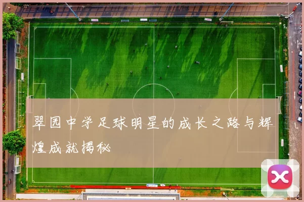翠园中学足球明星的成长之路与辉煌成就揭秘