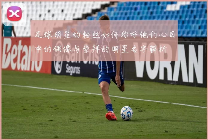 足球明星的粉丝如何称呼他们心目中的偶像与崇拜的明星名字解析