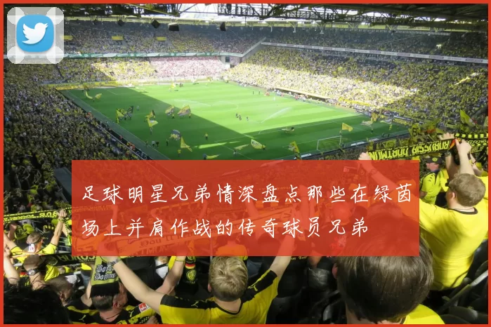 足球明星兄弟情深盘点那些在绿茵场上并肩作战的传奇球员兄弟