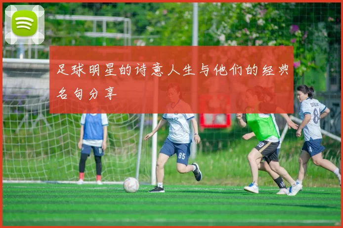 足球明星的诗意人生与他们的经典名句分享